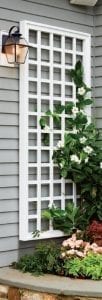 Pine Harbor sells Walpole Woodworker's Trellis